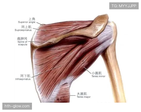 身体冲撞规则：肩对肩接触与犯规判定要点